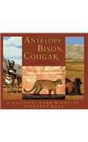 Antelope, Bison, Cougar