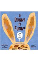 A Bunny is Funny
