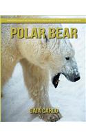 Polar bear
