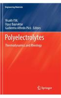 Polyelectrolytes: Thermodynamics and Rheology(Engineering Materials)