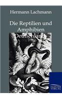 Reptilien Und Amphibien Deutschlands
