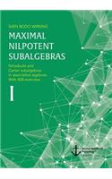 Maximal nilpotent subalgebras I