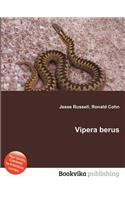 Vipera Berus