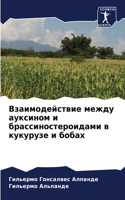 &#1042;&#1079;&#1072;&#1080;&#1084;&#1086;&#1076;&#1077;&#1081;&#1089;&#1090;&#1074;&#1080;&#1077; &#1084;&#1077;&#1078;&#1076;&#1091; &#1072;&#1091;&#1082;&#1089;&#1080;&#1085;&#1086;&#1084; &#1080; &#1073;&#1088;&#1072;&#1089;&#1089;&#1080;&#1085