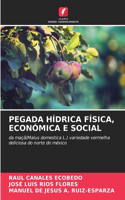 Pegada Hídrica Física, Económica E Social