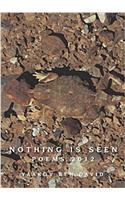Nothing Is Seen