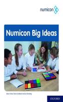 Numicon: Big Ideas
