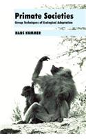Primate Societies