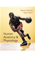 Human Anatomy & Physiology