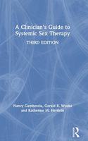 A Clinician's Guide to Systemic Sex Therapy