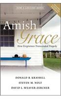 Amish Grace