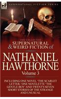 The Collected Supernatural and Weird Fiction of Nathaniel Hawthorne: Volume 3-Including One Novel 'The Scarlet Letter, ' One Novelette 'The Gentle Boy(English)