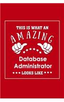 This is What an Amazing Database Administrator Look Like