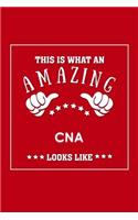 This is What an Amazing CNA Look Like: Appreciation Gift Journal for Employee, Coworker or Boss