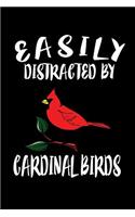 Easily Distracted By Cardinal Birds: Animal Nature Collection