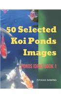 50 Selected Koi Ponds Images