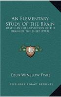 An Elementary Study Of The Brain