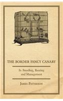 Border Fancy Canary - Its Breeding, Rearing and Management