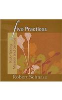 Five Practices - Risk-Taking Mission and Service: (Five Practices of Fruitful Congregations Program Resources)