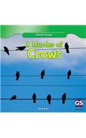 Murder of Crows