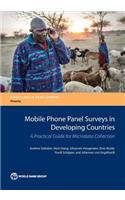 Mobile Phone Panel Surveys in Developing Countries