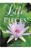 Life in Pieces!