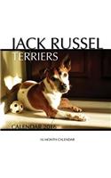 Jack Russel Terriers Calendar 2016: 16 Month Calendar(English)