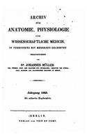 Archiv für Anatomie, Physiologie und wissenschaftliche Medicin: (German)