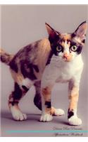 Devon Rex Affirmations Workbook Devon Rex Presents: Positive and Loving Affirmations Workbook. Includes: Mentoring Questions, Guidance, Supporting You.