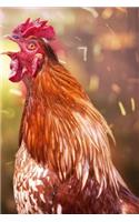 Singing Roosters Getting Down Notebook