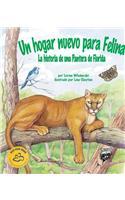 Un Hogar Nuevo Para Felina: La Historia de Una Pantera de Florida