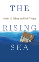 The Rising Sea