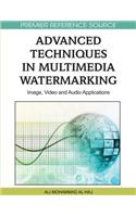 Advanced Techniques in Multimedia Watermarking: Image, Video and Audio Applications