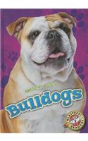 Bulldogs