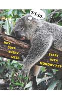 Why does every week start with Monday