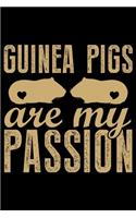 Guinea Pigs Are My Passion