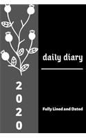 daily diary