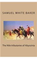 The Nile Tributaries of Abyssinia