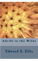 Adrift in the Wilds