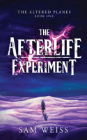 The Afterlife Experiment