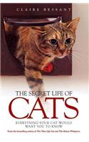 The Secret Life of Cats