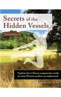 Secrets of the Hidden Vessels