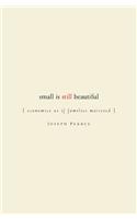 Small Is Still Beautiful: Economics As If Families Mattered