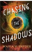 Chasing the Shadows