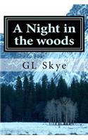 Night in the woods: Hike along the Appalachian Trail