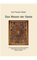 Das Wesen der Seele: Eine psychologisch-naturwissenschaftliche Erörterung der Frage nach dem Wesen der Seele(German)
