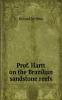 Prof. Hartt on the Brazilian sandstone reefs