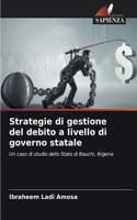 Strategie di gestione del debito a livello di governo statale