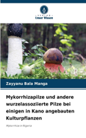 Mykorrhizapilze und andere wurzelassoziierte Pilze bei einigen in Kano angebauten Kulturpflanzen