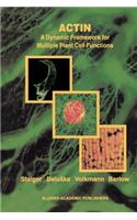 Actin: A Dynamic Framework for Multiple Plant Cell Functions